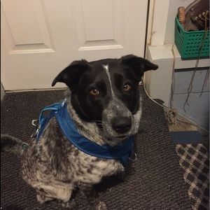 Meet your Posher, Jerri